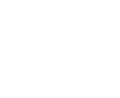 LANGCE Việt nam